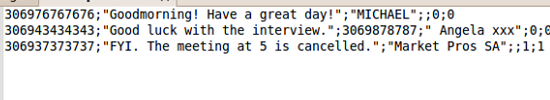 CSV file in a text editor with contacts and messages ready to be sent. CSV file in a text editor with contacts and messages ready to be sent.