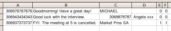 CSV file in a sreadsheet with contacts and messages ready to be sent.